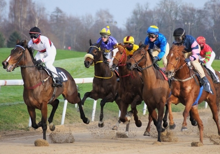 Who are the best horse racing tipsters? BetConnect