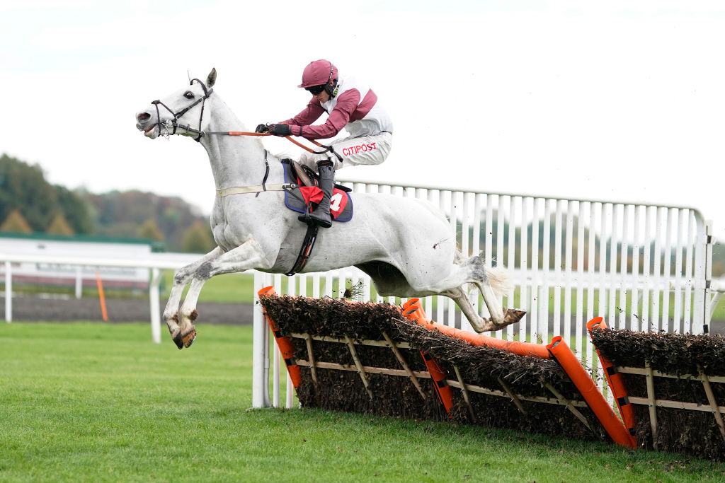 Cheltenham may be on the horizon for Silver Streak if he wins again on Saturday