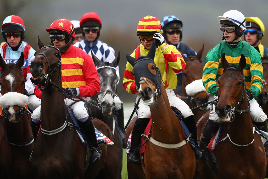 Cheltenham - the start at last year's Supreme Novices' Hurdle