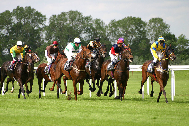 jump vs flat racing