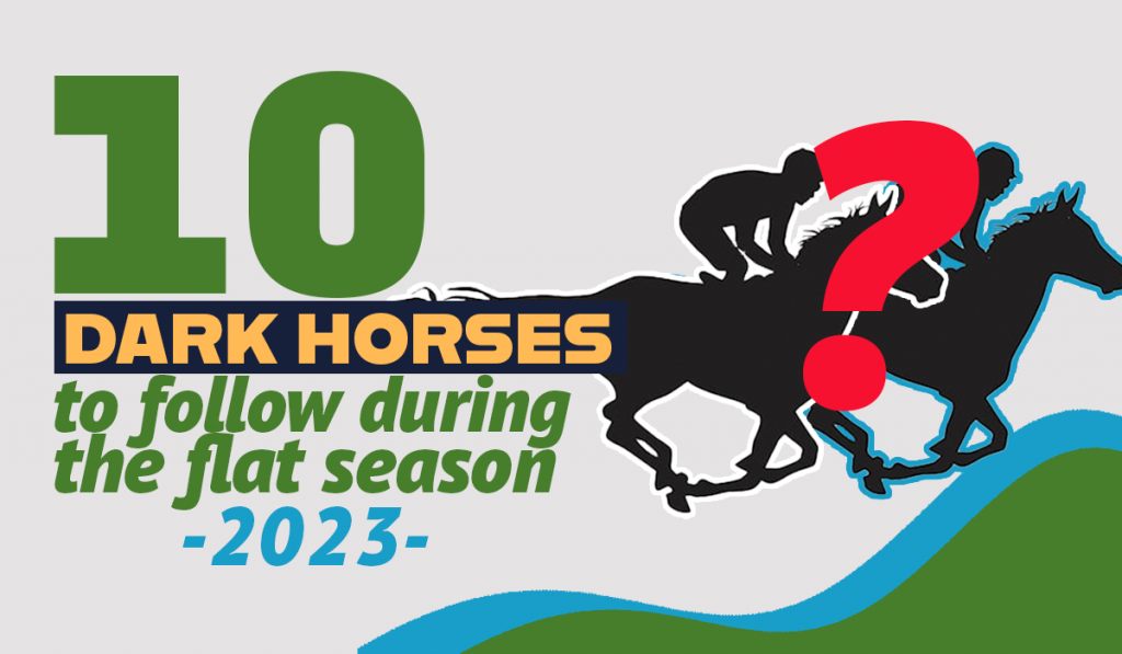 10 dark horses to follow during the 2023 flat season BetConnect
